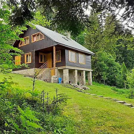Lodge Forestina Vyšné Ružbachy