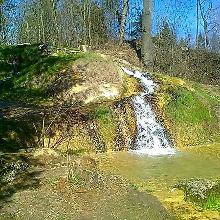 Forestina Vyšné Ružbachy