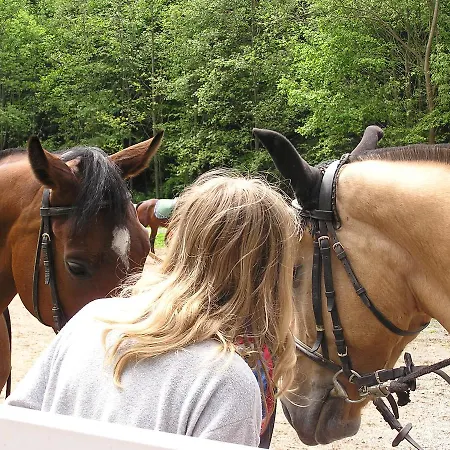 Forestina Vyšné Ružbachy