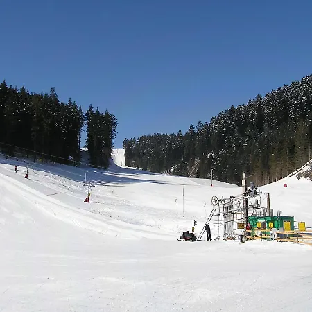 Domek letniskowy Forestina *