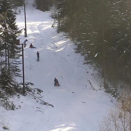 Forestina Domek letniskowy *