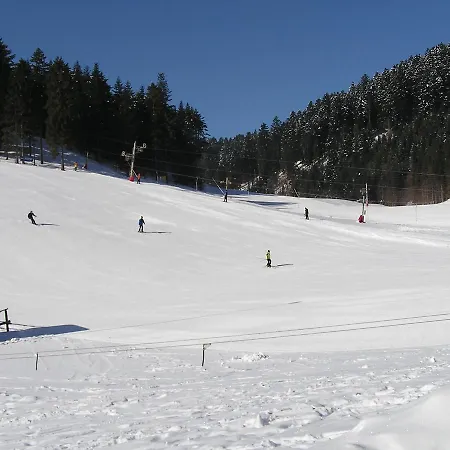 Forestina Hytte Vyšné Ružbachy
