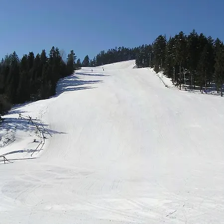 Domek letniskowy Forestina