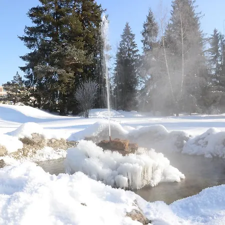 Domek letniskowy Forestina *