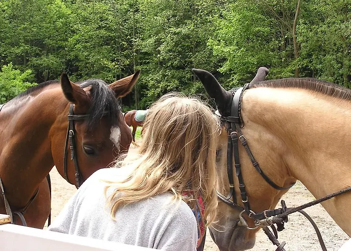 Forestina Vysne Ruzbachy