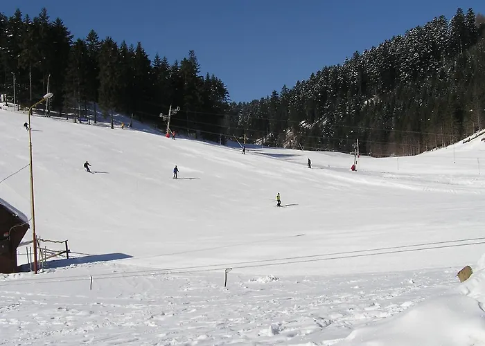 Forestina Lodge Vysne Ruzbachy